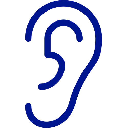Accueil 1 icone oreille bleue 2